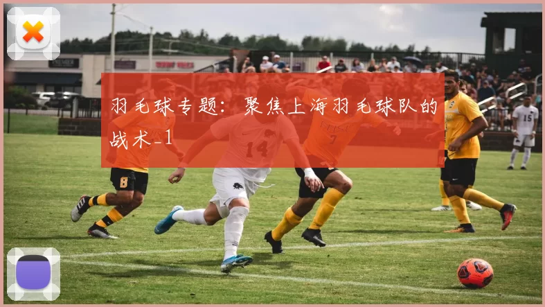 羽毛球专题：聚焦上海羽毛球队的战术_1