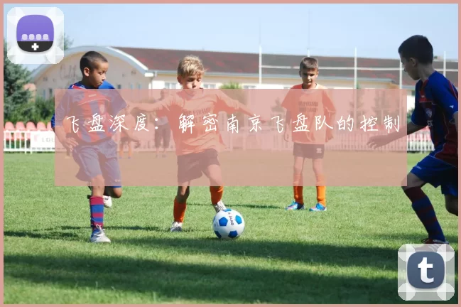 飞盘深度：解密南京飞盘队的控制