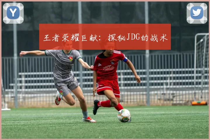 王者荣耀巨献：探秘JDG的战术