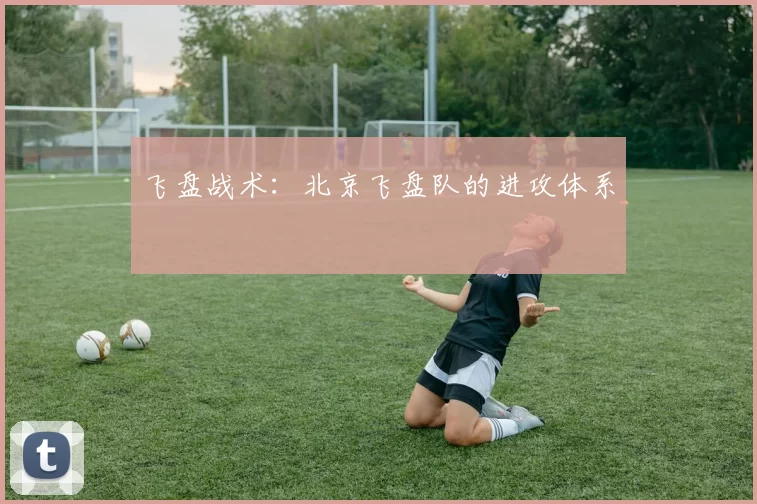 飞盘战术：北京飞盘队的进攻体系