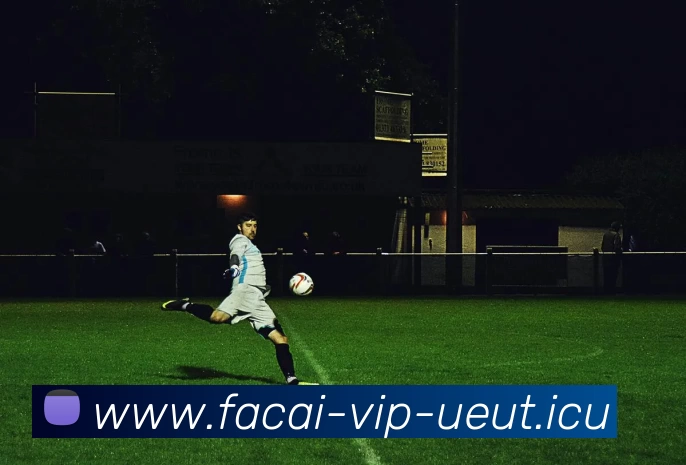 星空体育平台生态图